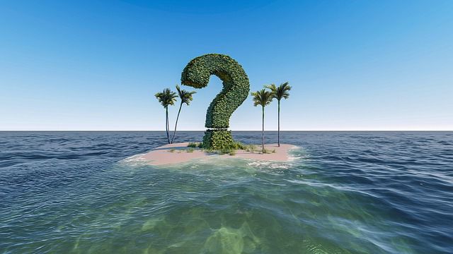 Why do you want to volunteer abroad?