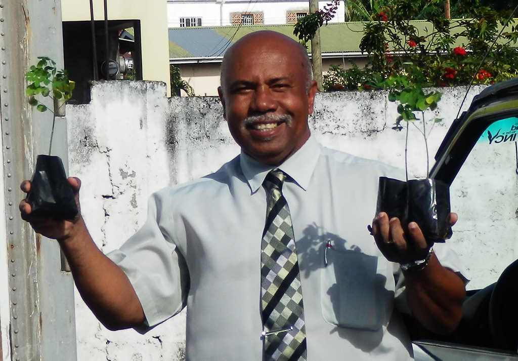 Tree Planting