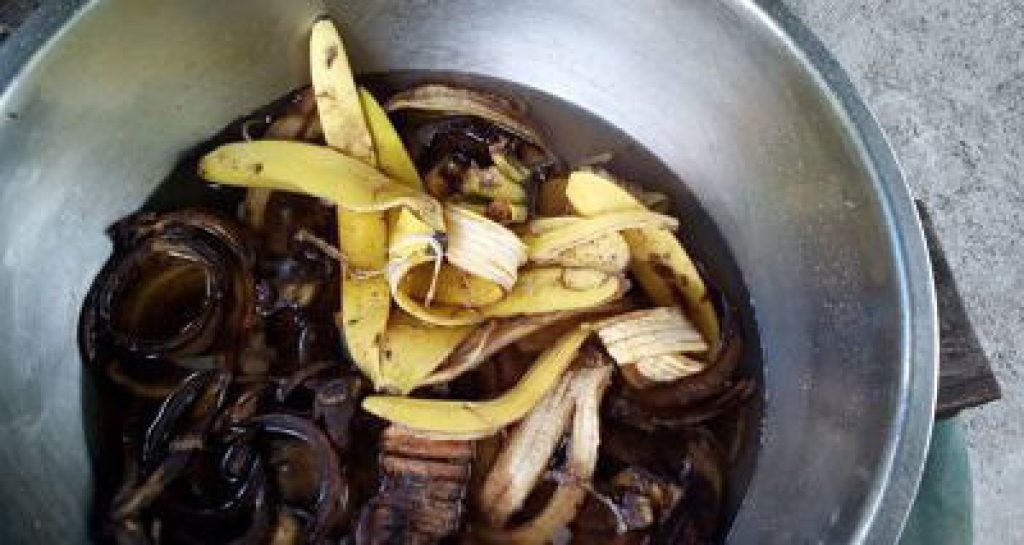 banana_opt