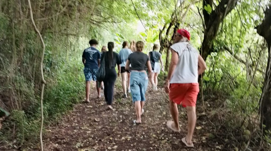 going into the forest